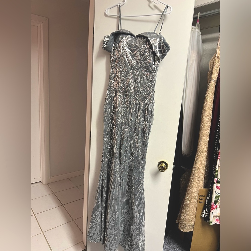 Formal Silver with sequence dress